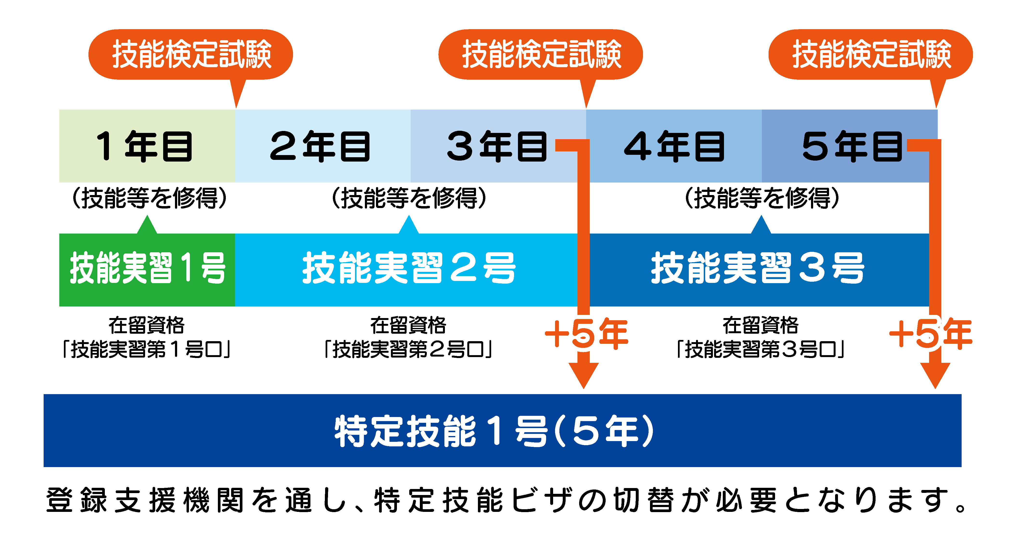 技能実習フロー図